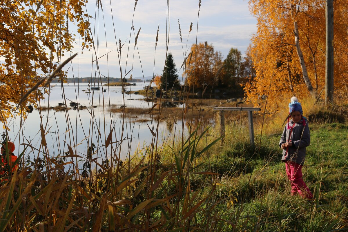 Осень у Белого моря - Ольга 