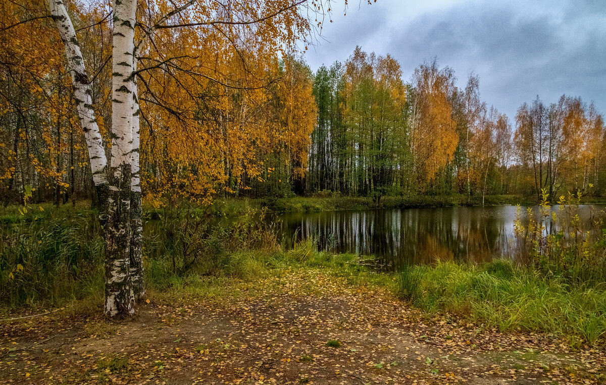Осень, Октябрь, утро # 04 - Андрей Дворников