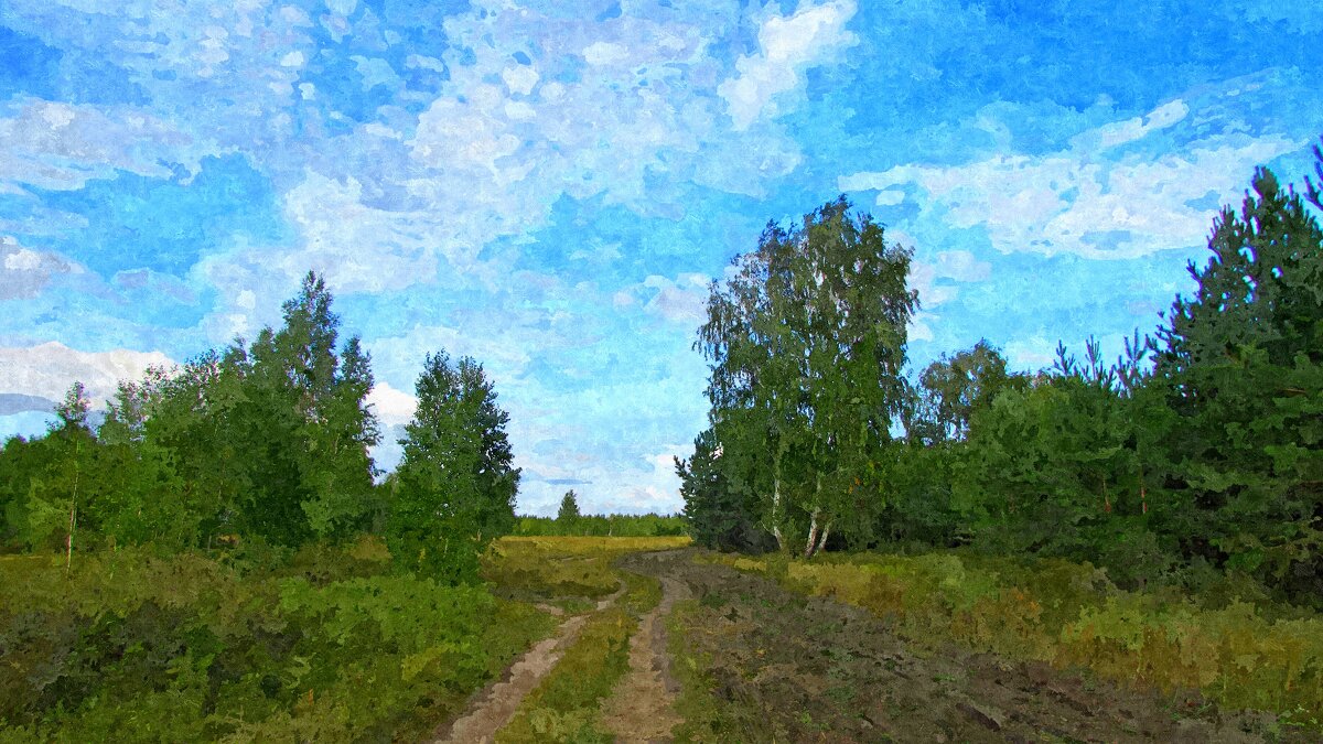 Осенняя дорога в лесу - Владимир 
