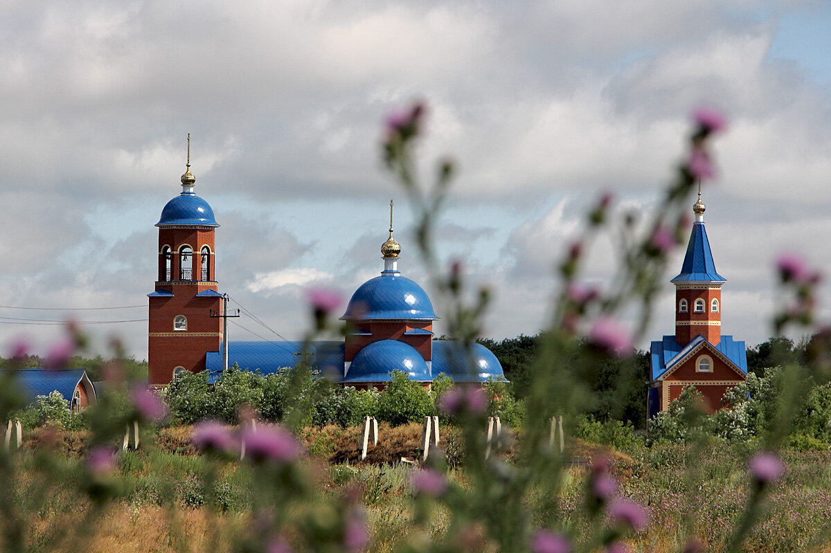 Купола Чагринского монастыря. Самарская область - MILAV V
