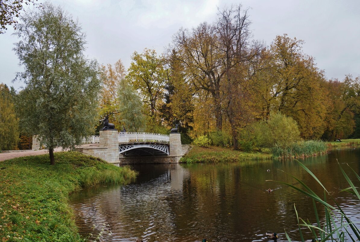 Олений мост в Павловске - Nataly St. 