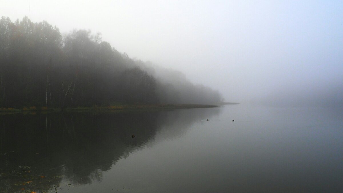 Утренний туман над озером. - Милешкин Владимир Алексеевич 