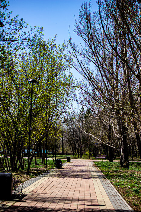 В парке весной - Светлана SvetNika17