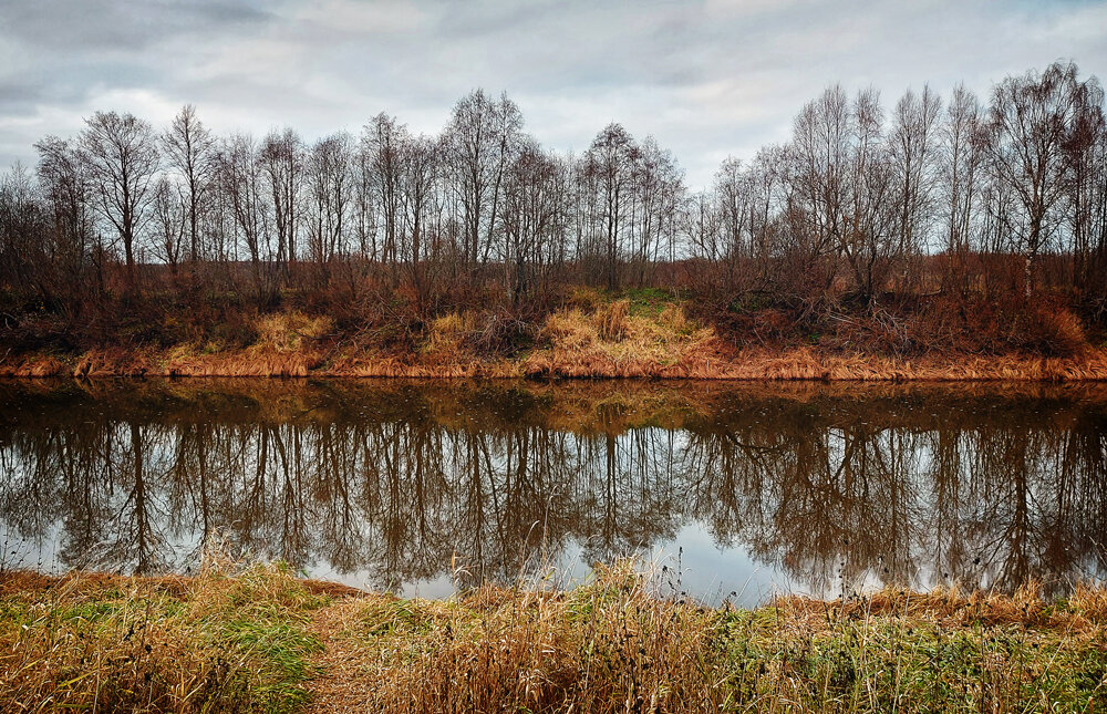 Река Могоча. Осенний берег - Николай Дергачев