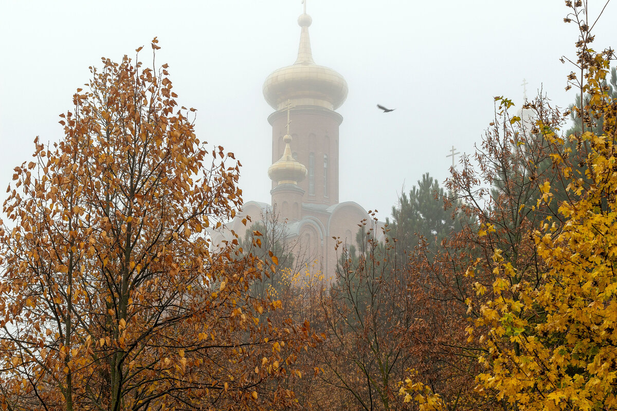 Нежный туман - Юрий Глаголистов