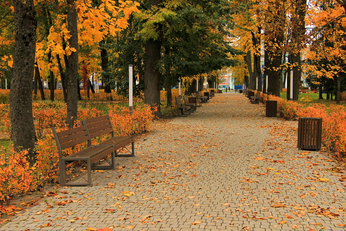 Осень в городском парке. - Сергей 