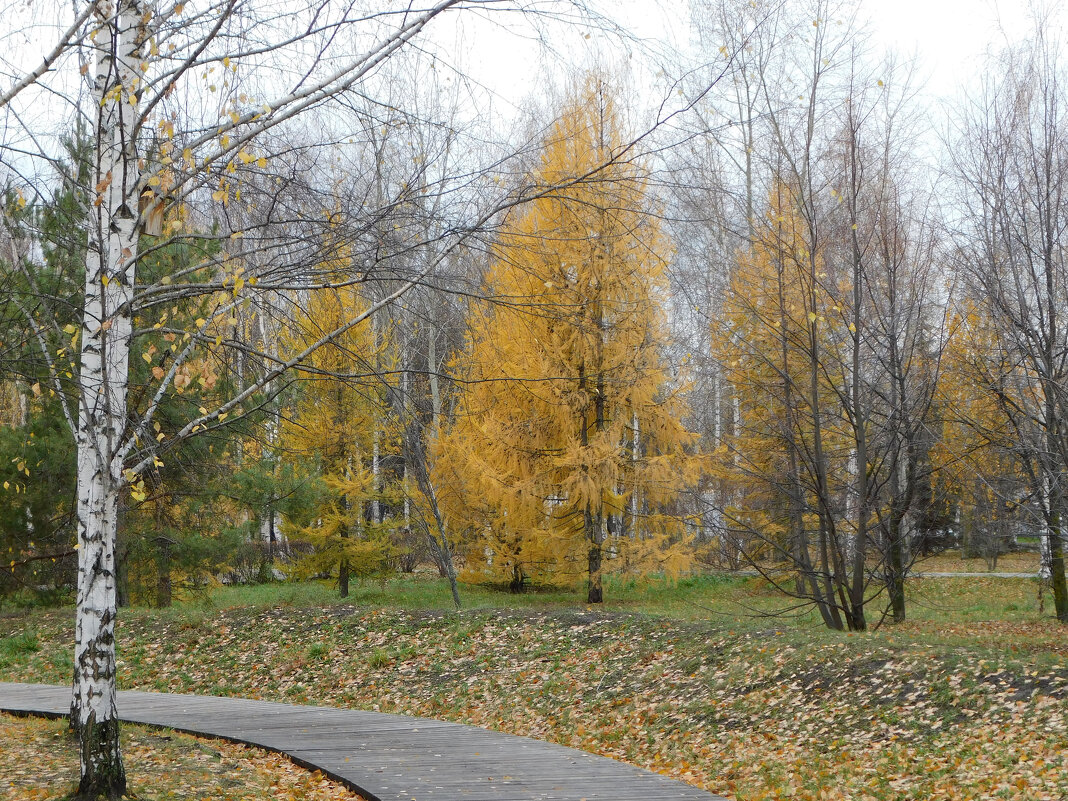 Осень в парке Победы - Наиля 