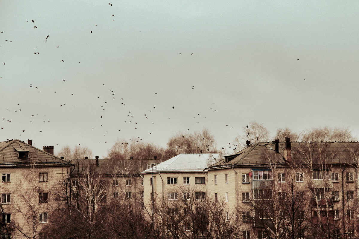 Безлюдный городок - Елена Минина