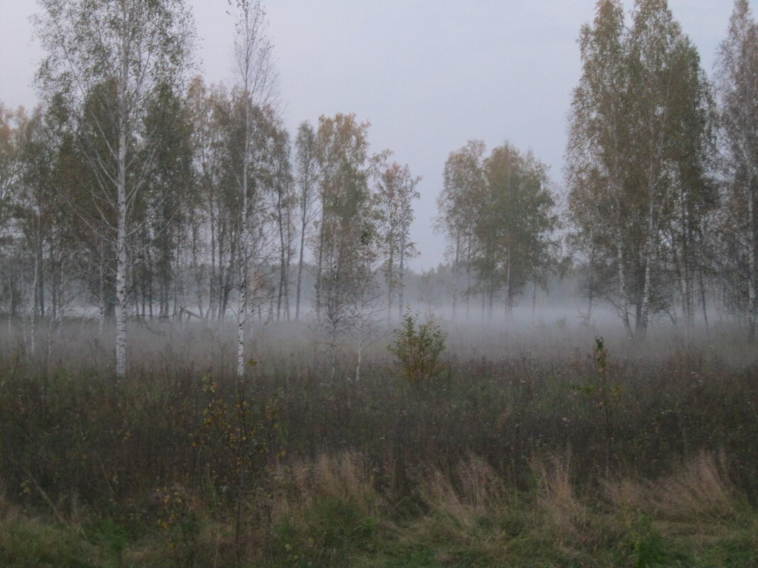 туман - Сергей Расташанский