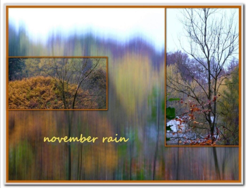 Дождь в ноябре - Heinz Thorns