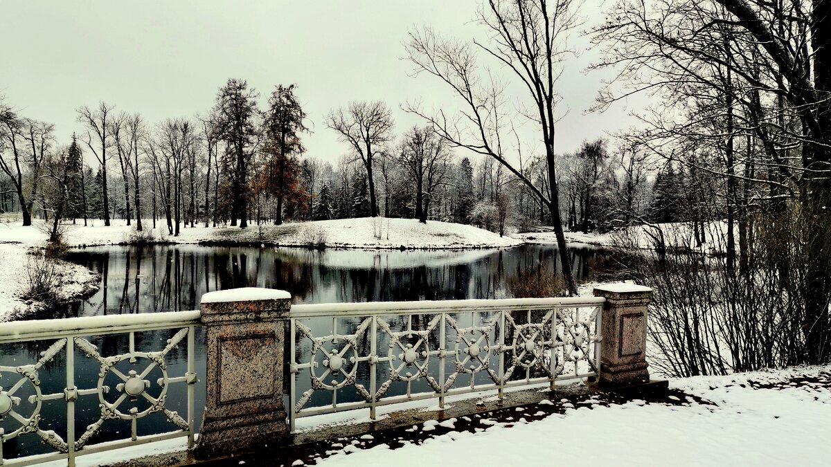 В парке прошел снег - 3 - Сергей 