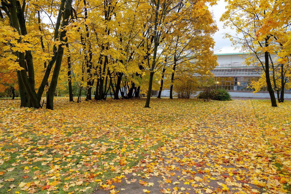 В Царицынском парке.Москва. - Сергей Татаринов