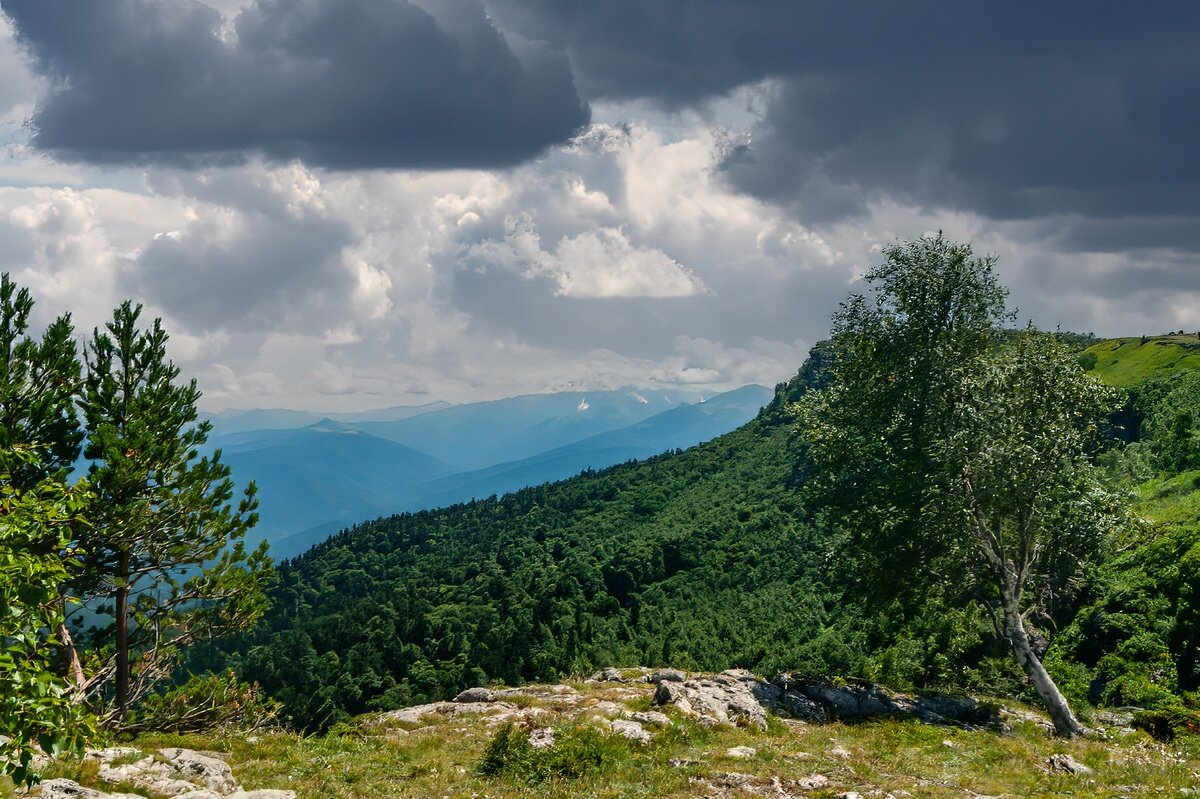 Плато Лаго-Наки - Игорь Сикорский