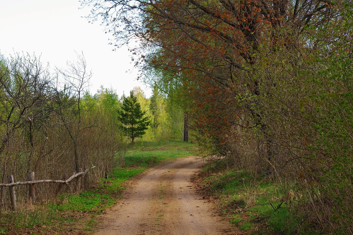 *** - Юрий Куликов