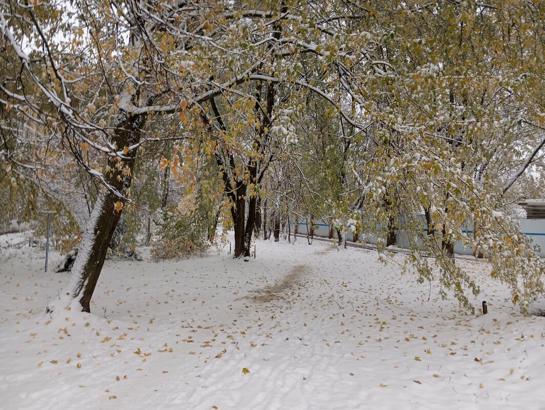 Первый снег в октябре - Елена Семигина