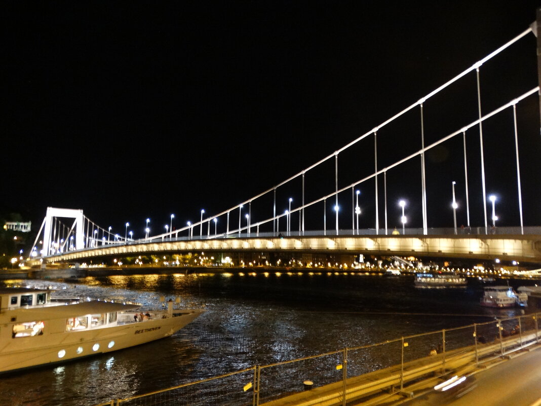 Мост через речку Дунай - svk *