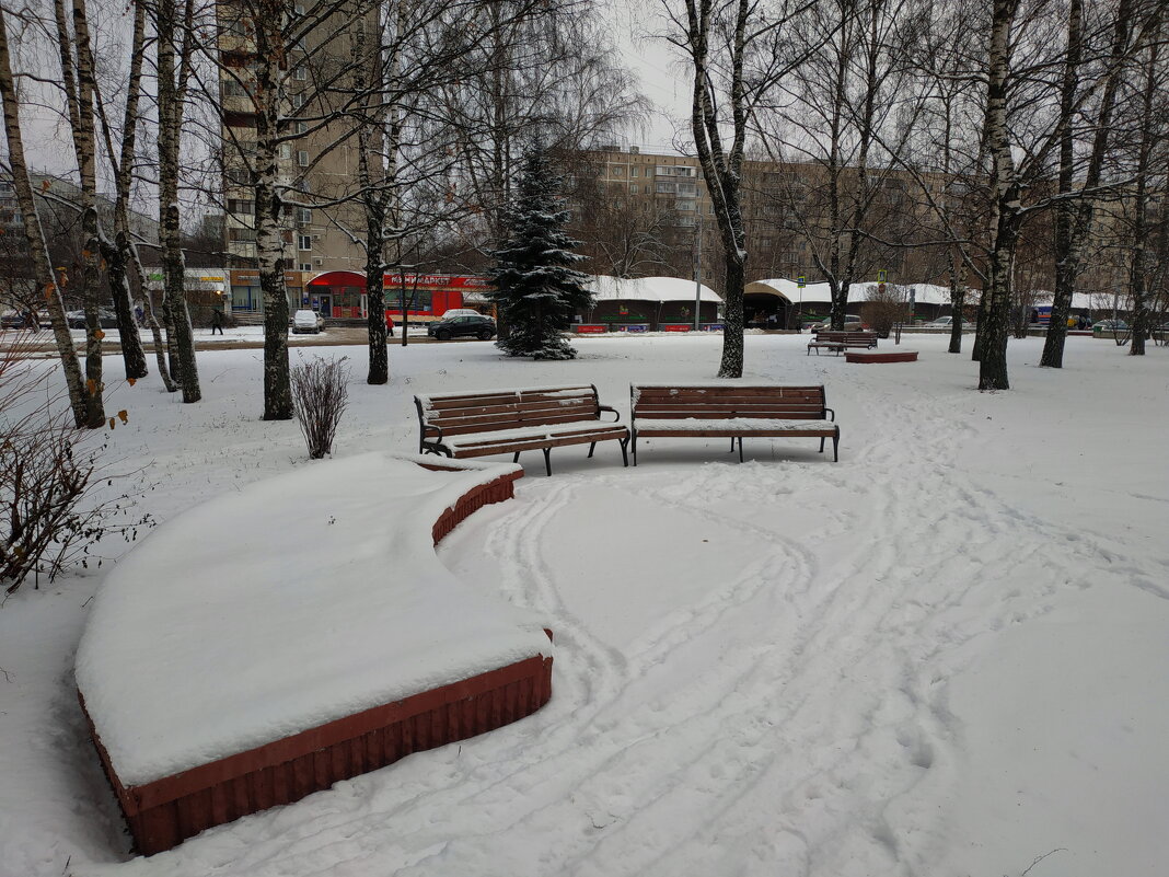 Зима. Фотограф торжествует - Андрей Лукьянов