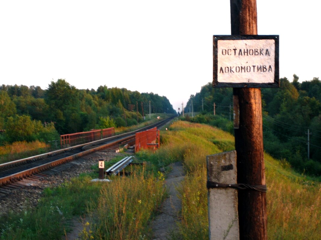 Остановка в д.Белошкино :: Артем – Социальная сеть ФотоКто