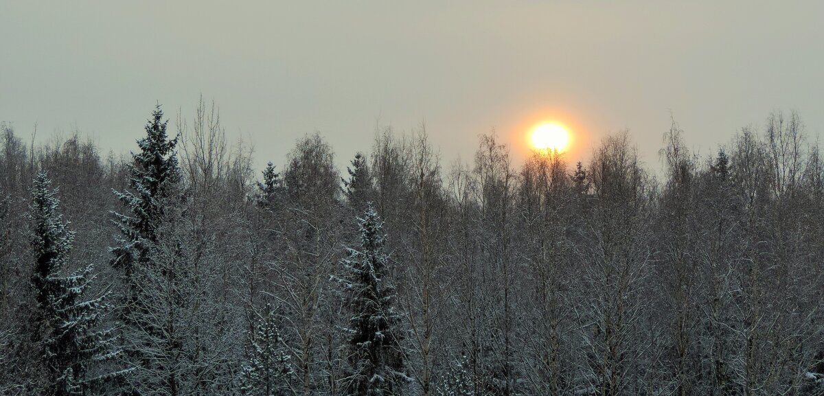 Зимнее солнце.Восход - Ирина 