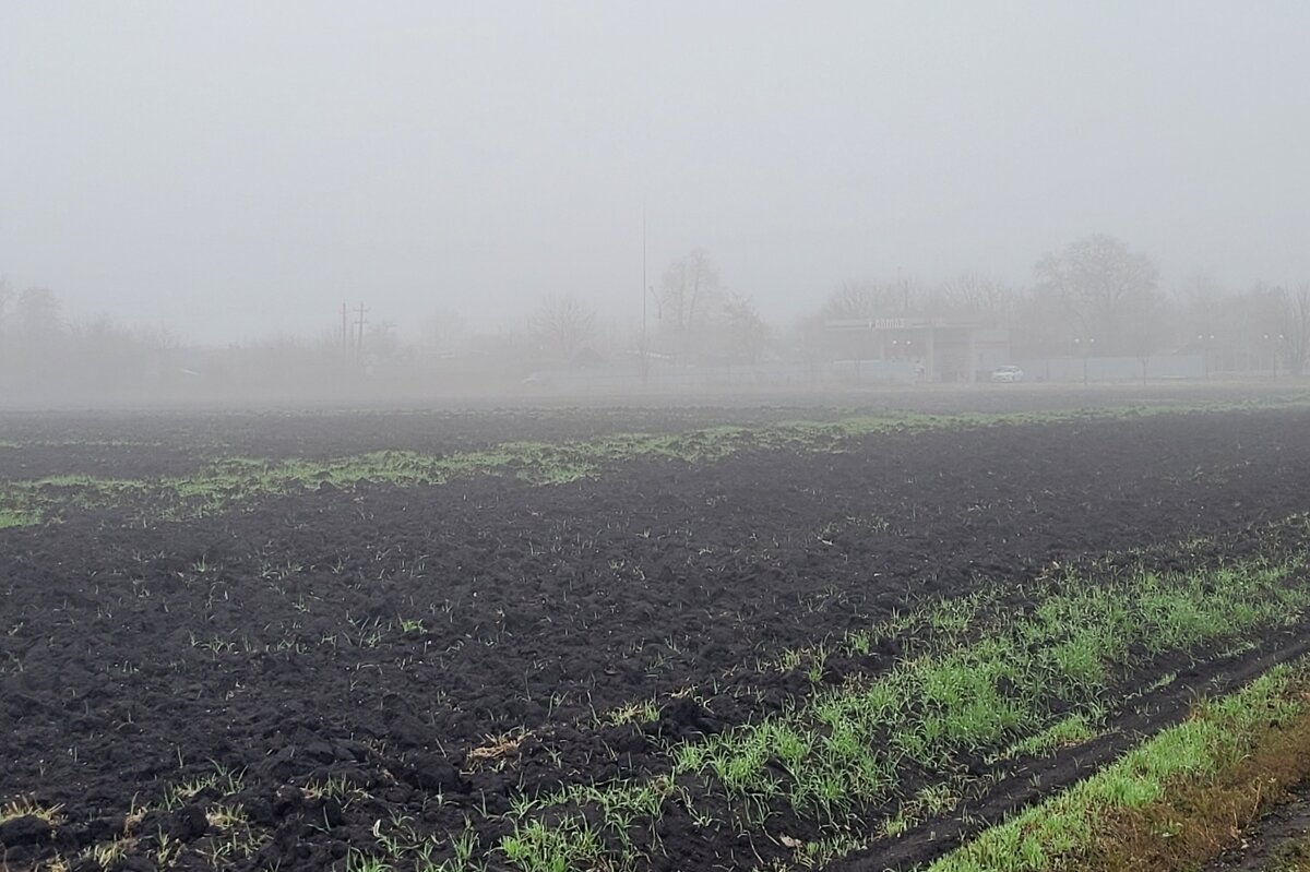 Над полем осенний туман - Татьяна 