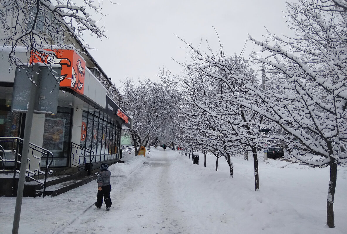 Заснежило.....Городские будни. - Алена 