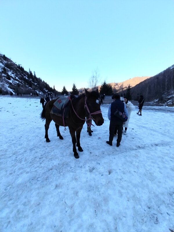 Almaty. - Murat Bukaev 