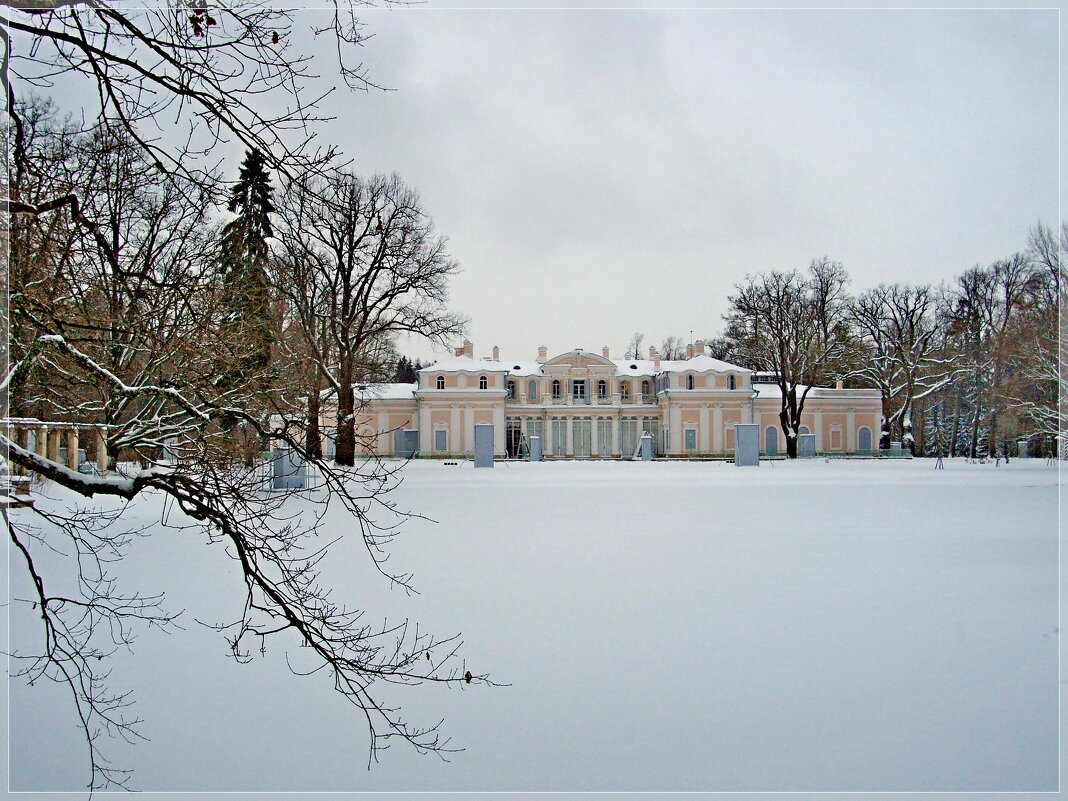 Вид на Китайский дворец в зимнее время. - Лия ☼