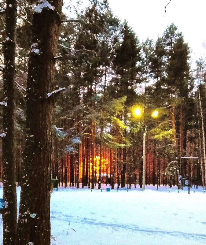 фонари в парке - Владимир 