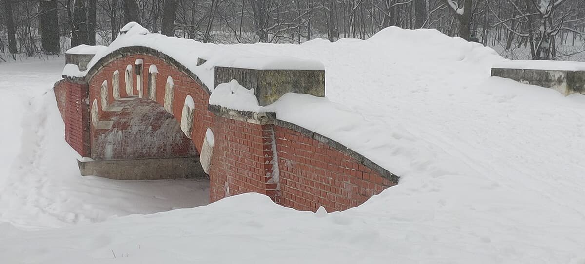 Горбатый мост, парк Кузьминки - Тамара Жарова 
