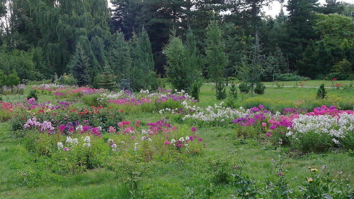 Ботанический сад, Калининград - Маргарита Батырева