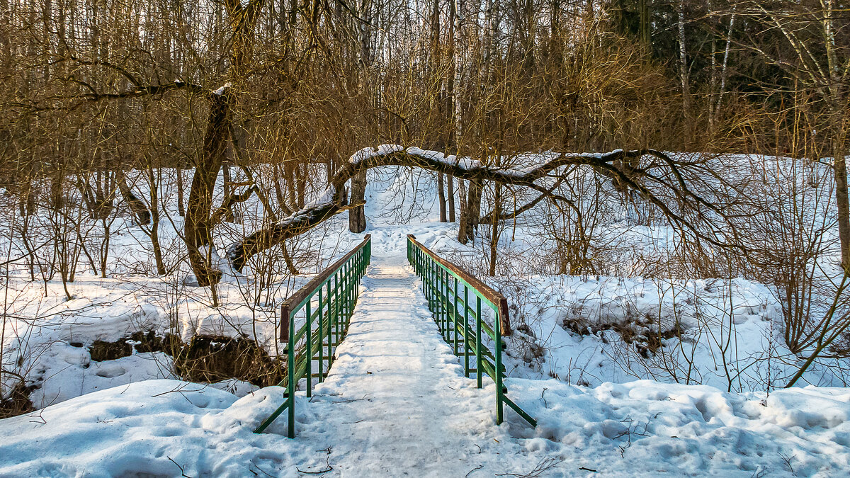 В Битцевском парке. - Aleksey Afonin