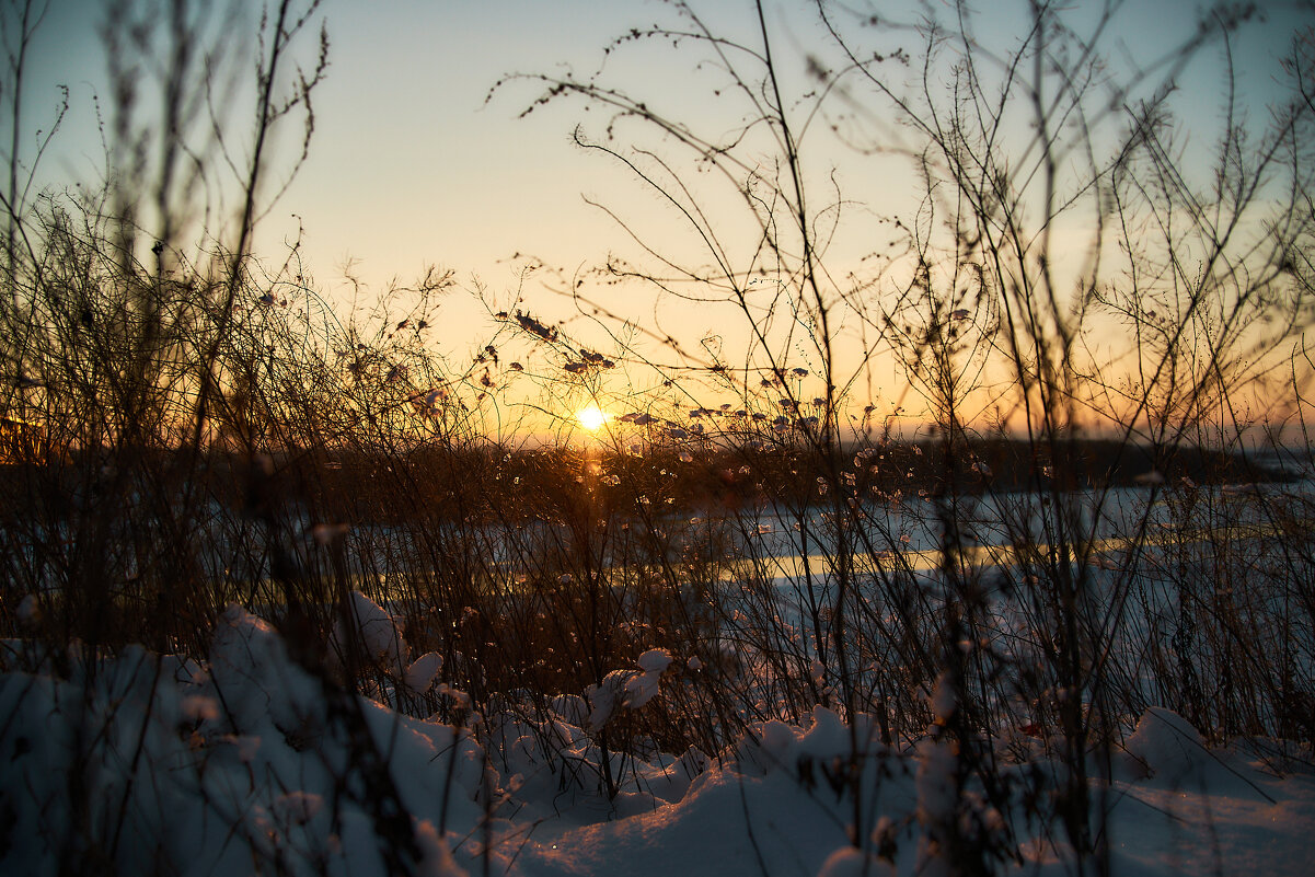 зимний закат - Sergey Gorelov