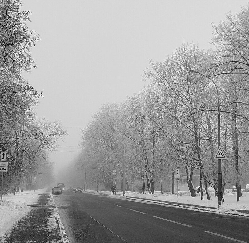 Туманный декабрь... - Tatiana Markova