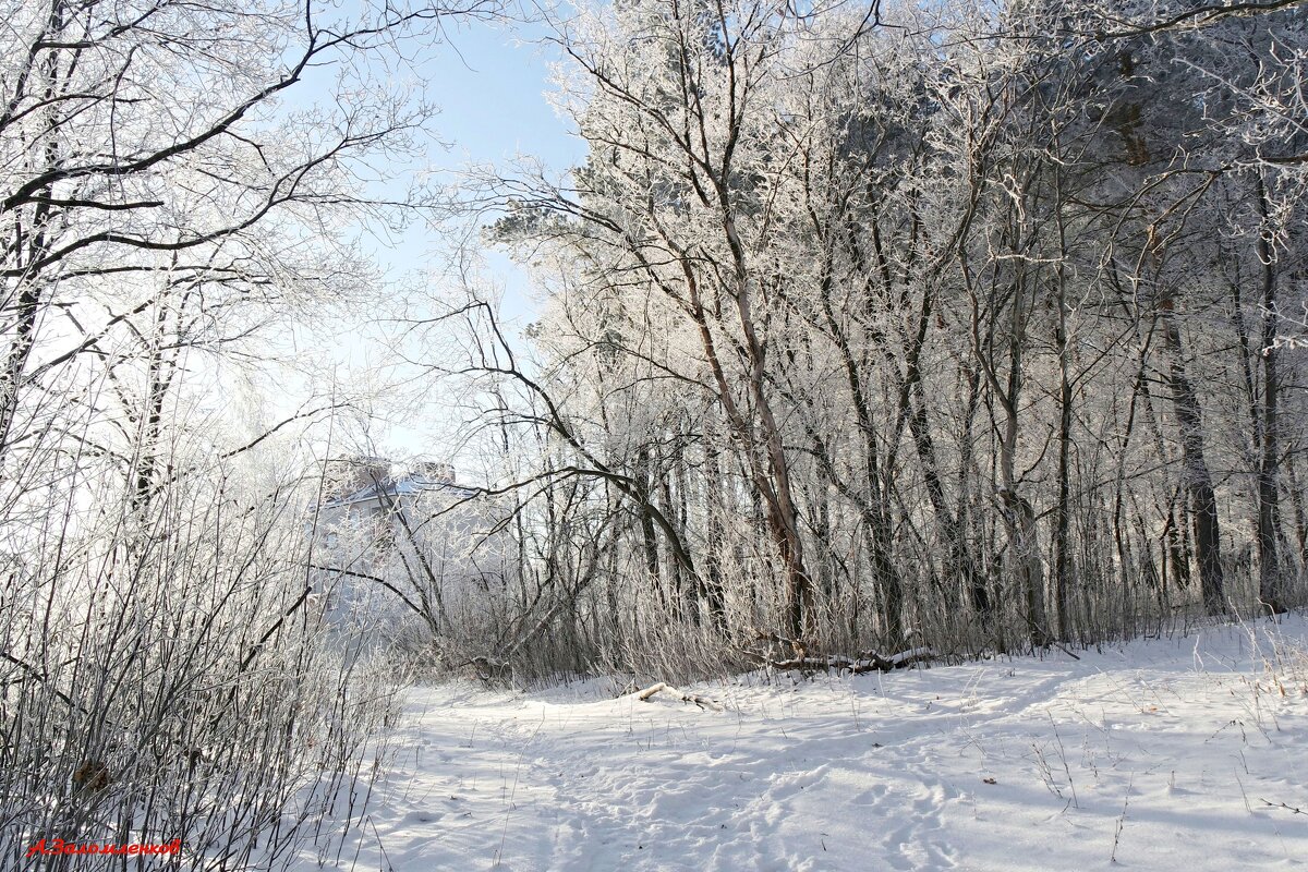 Морозное дыхание декабря... - Андрей Заломленков