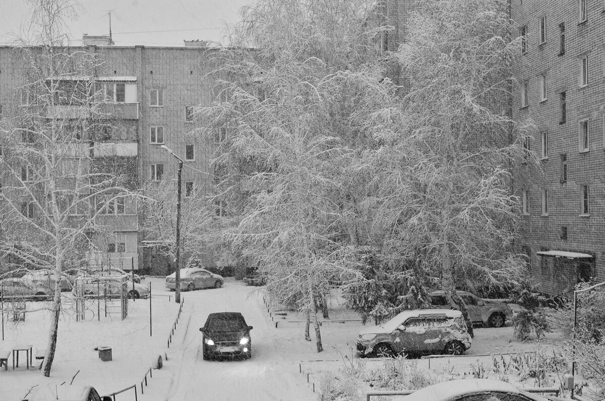 Снегопад - Михаил Кузнецов