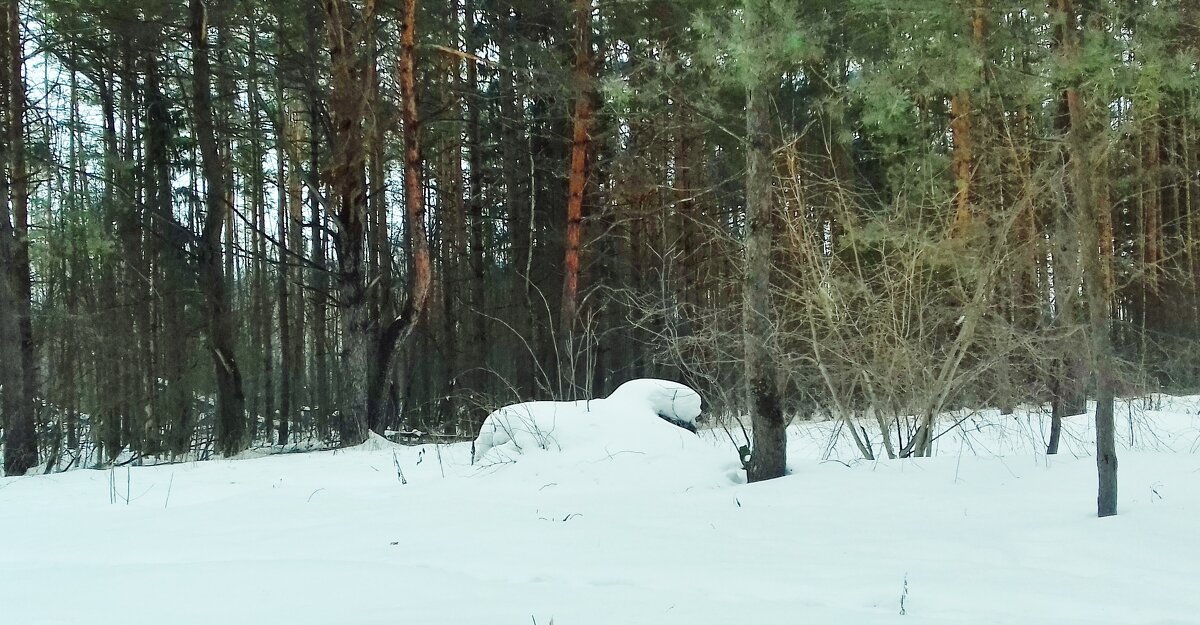 лежка - Владимир 