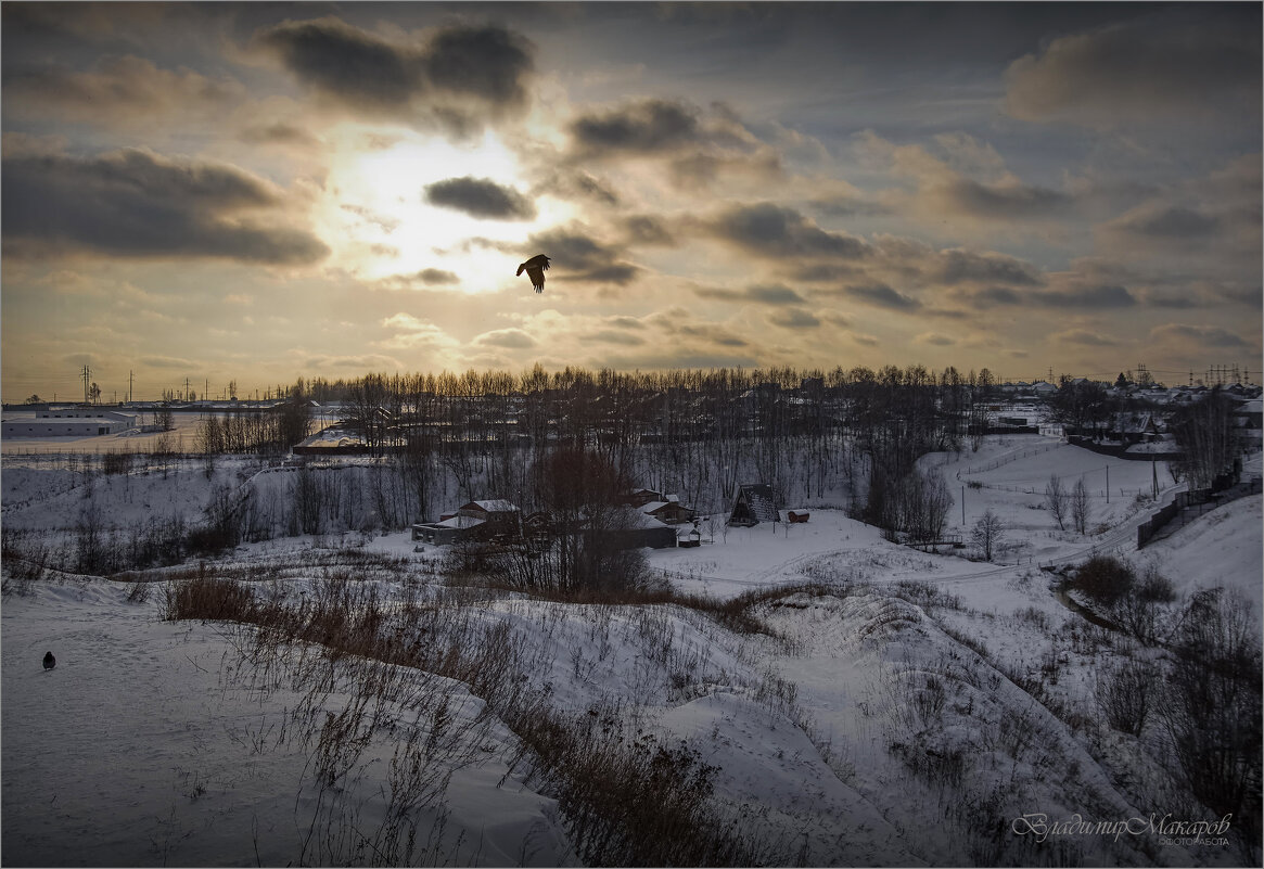 "Зимние полёты. Ворона"© - Владимир Макаров