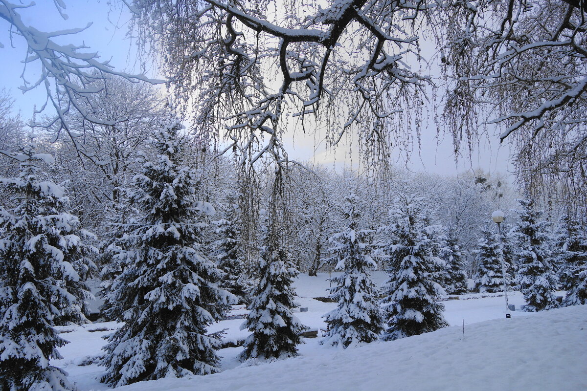 Снежный ноябрь - Рита Симонова