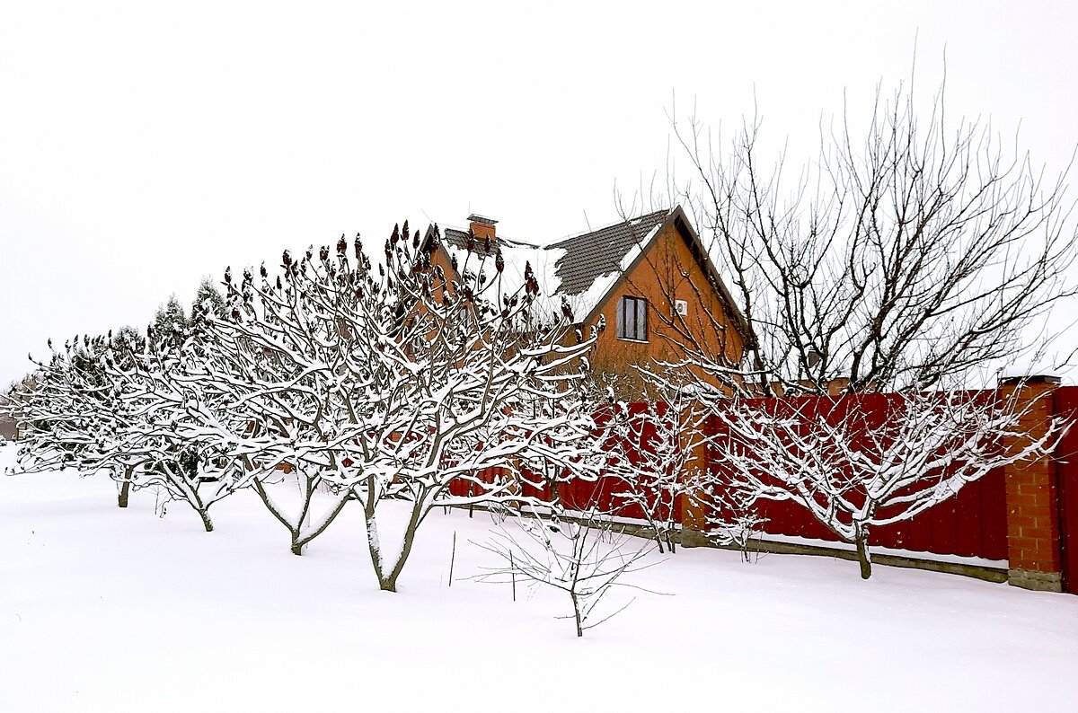 Зима у дома - Сеня Белгородский