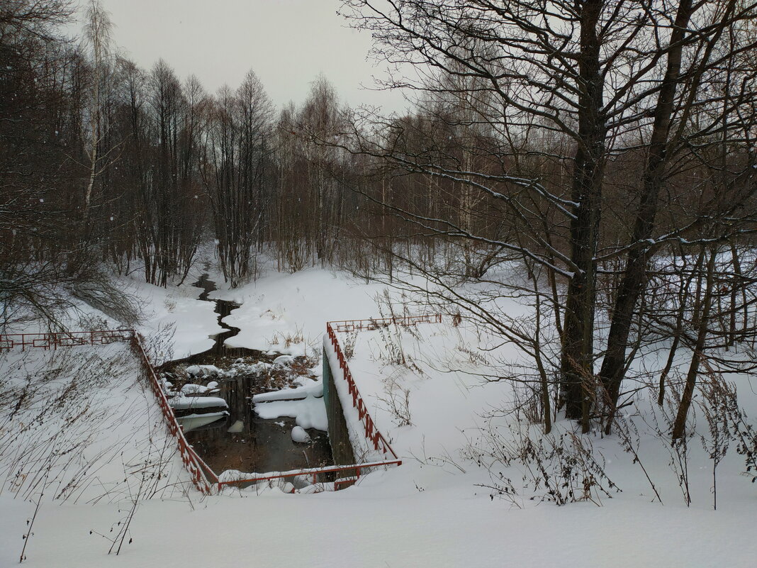 Сезон ЧБ фотографии - Андрей Лукьянов