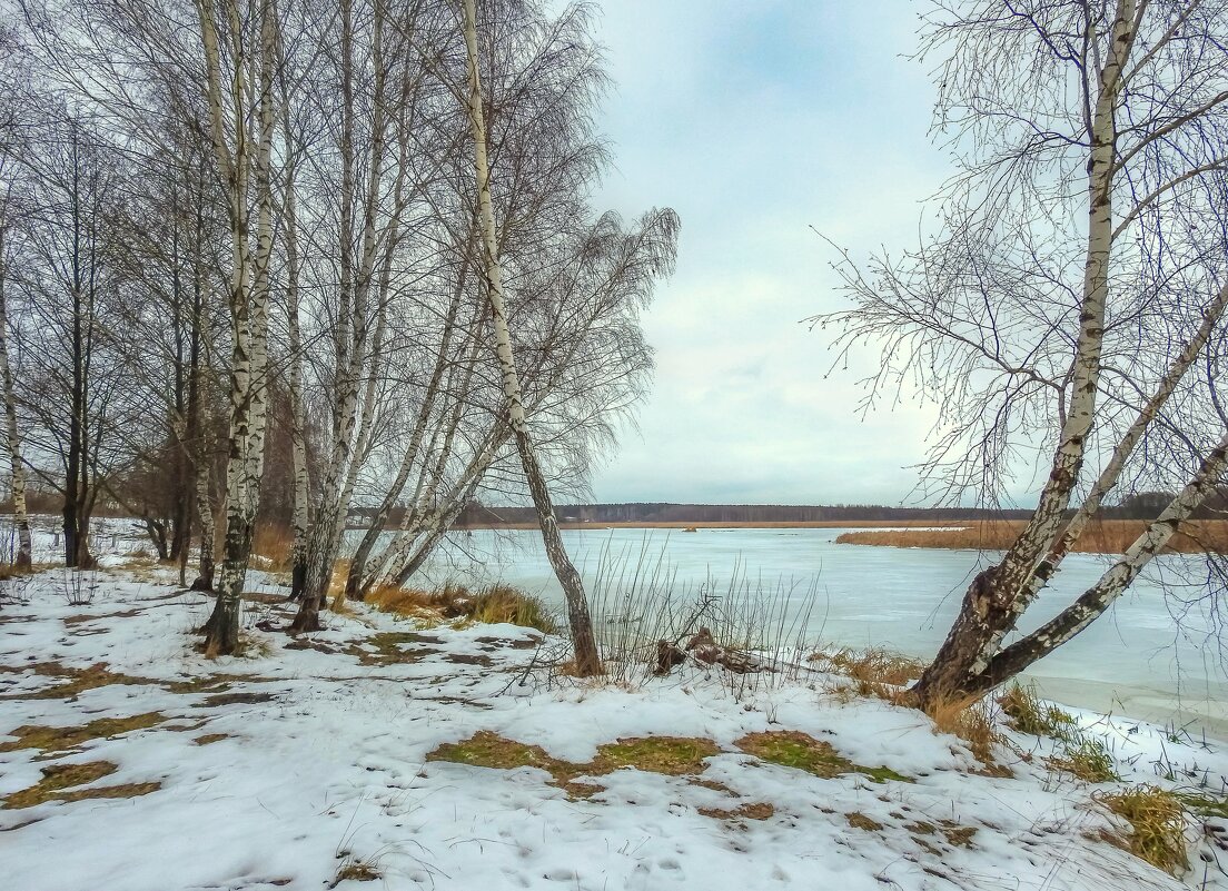 Беседа на берегу - Вадим Ефимчик