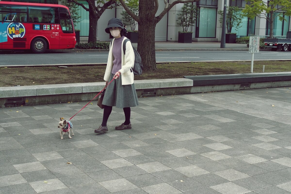 Японская дама с собачкой - wea *
