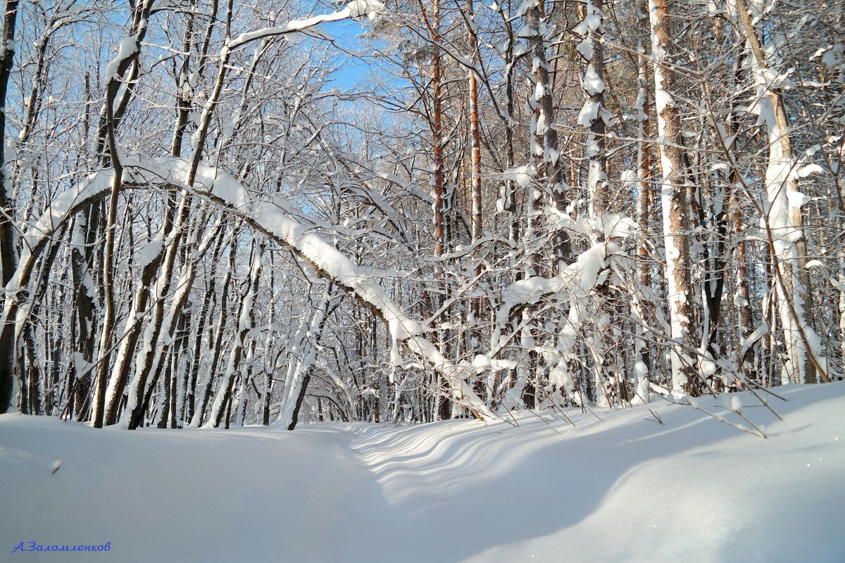 "Ваня" тоже снега нам подсыпал... - Андрей Заломленков