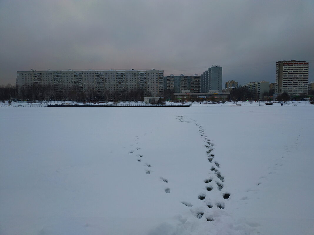 Скромное обаяние декабря - Андрей Лукьянов