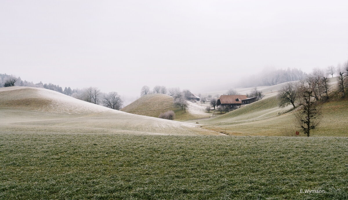 winter view - Elena Wymann