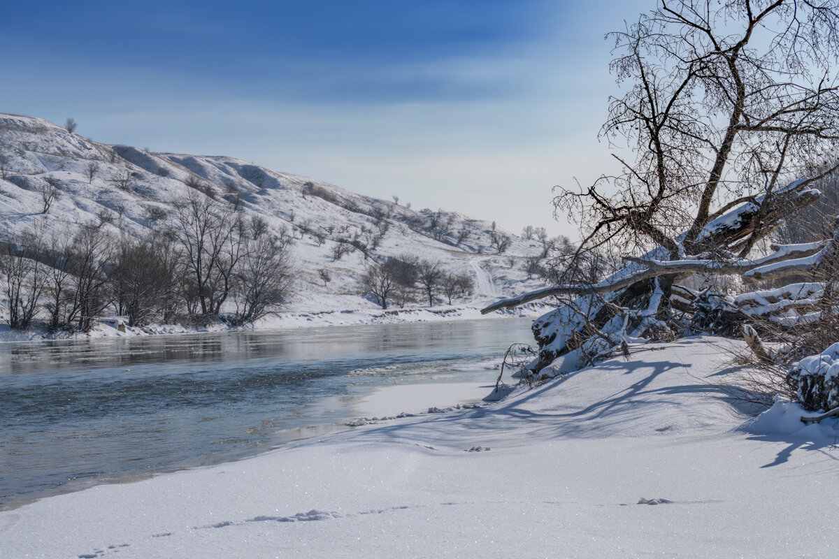 Река Кубань в редкие снежные зимы - Игорь Сикорский
