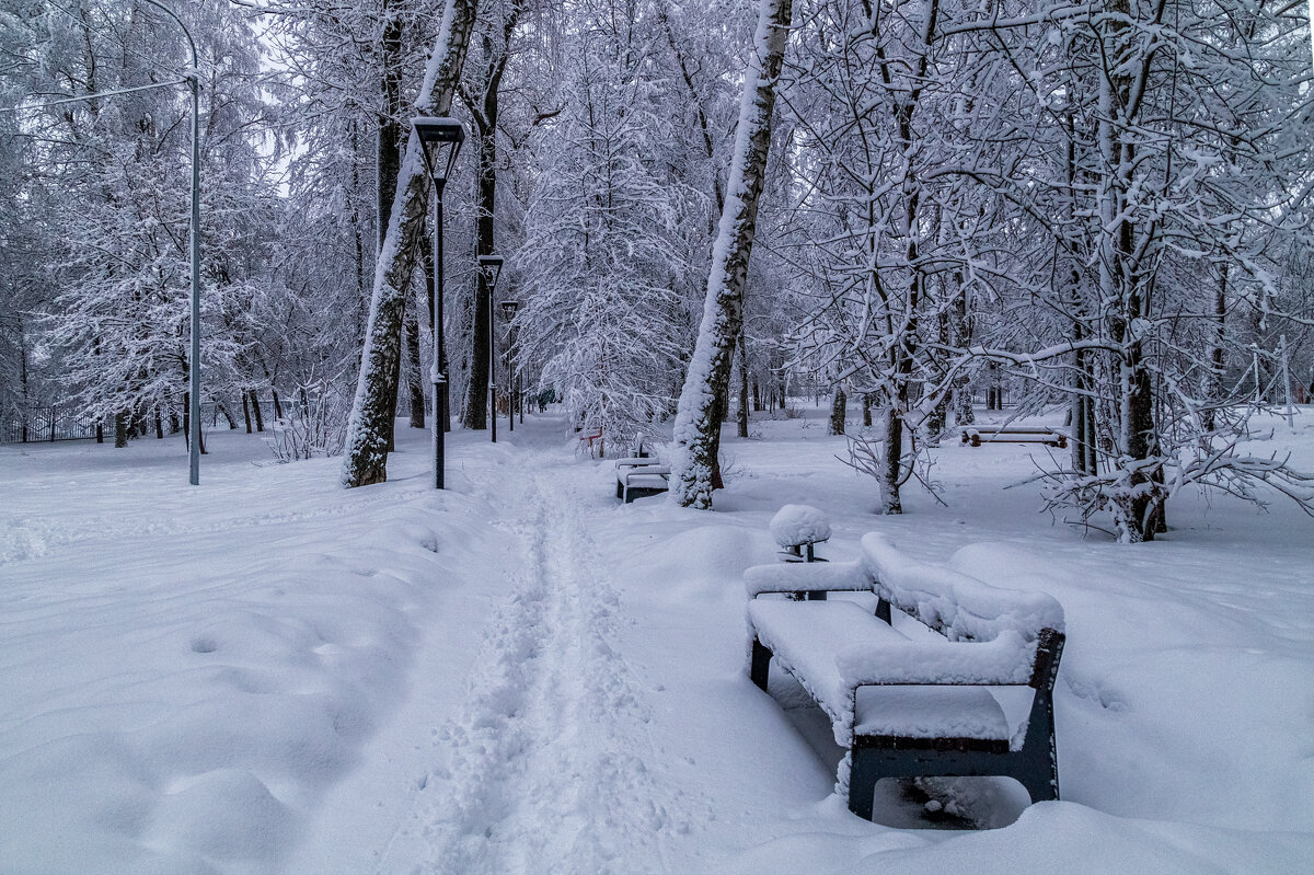 Зимний парк - Андрей Дворников