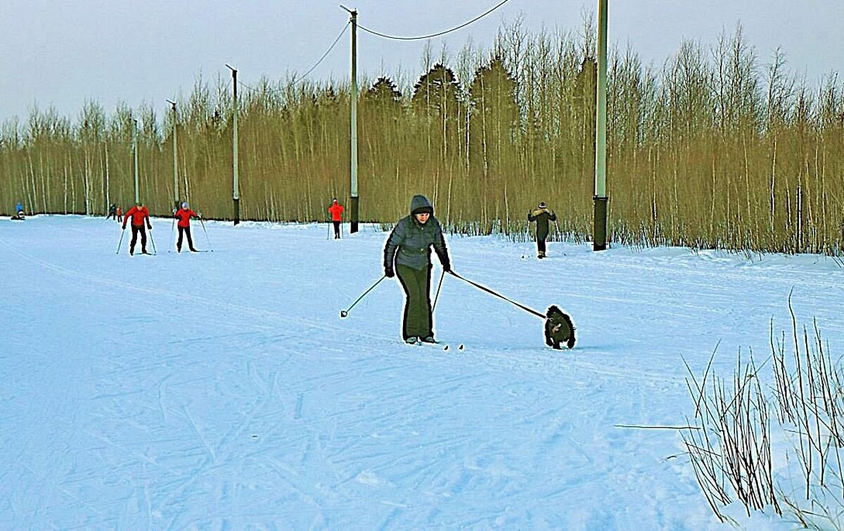 Мы всегда и везде неразлучны! - Владимир 