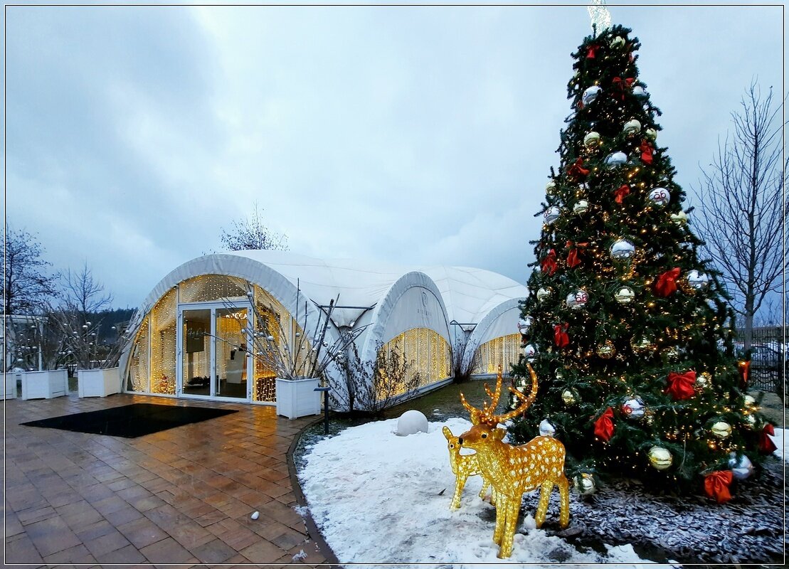 Настроение - Сеня Белгородский