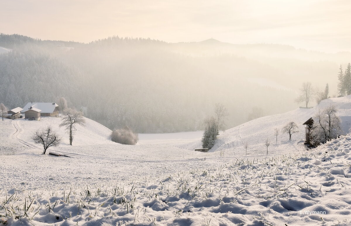 winter view - Elena Wymann